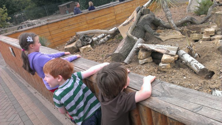 Yorkshire Wildlife Park - Meerkats