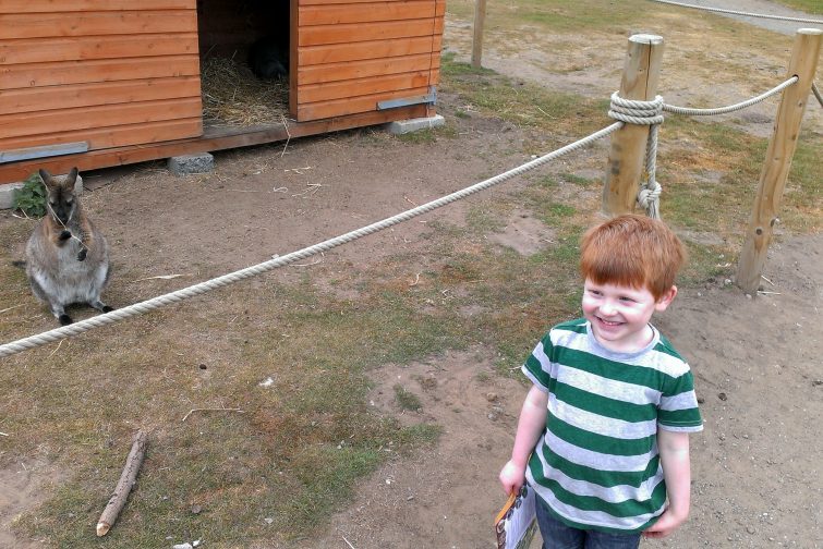 Yorkshire Wildlife Park - Ben and Wallaby