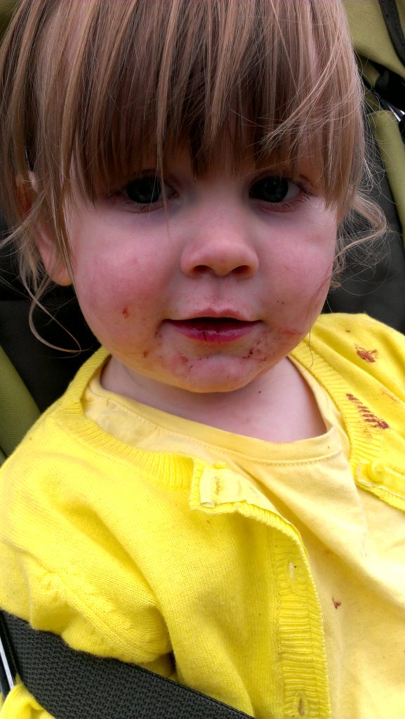 Yorkshire Wildlife Park - Chlo with split lip
