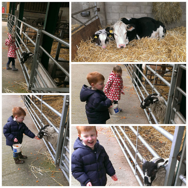 Reddish Vale Farm