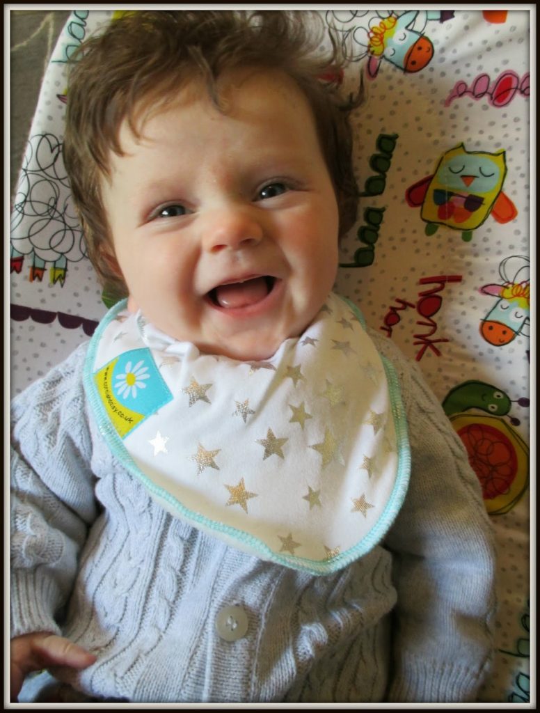 Cornish Daisy dribble bib