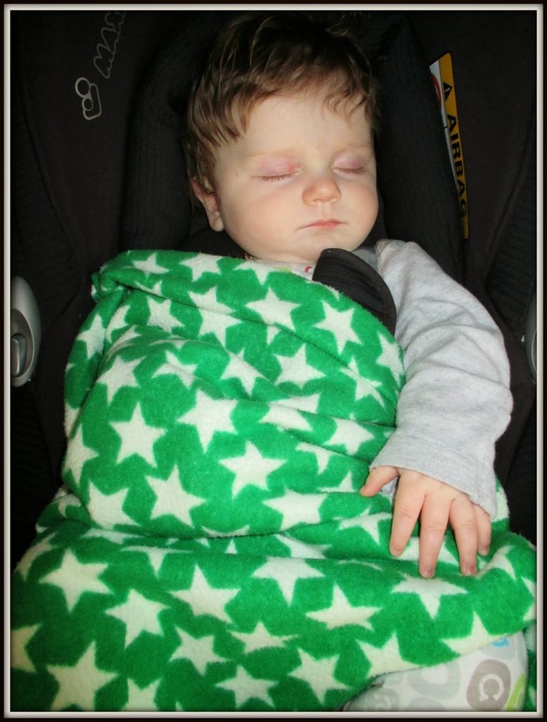 Cornish Daisy fleece blanket
