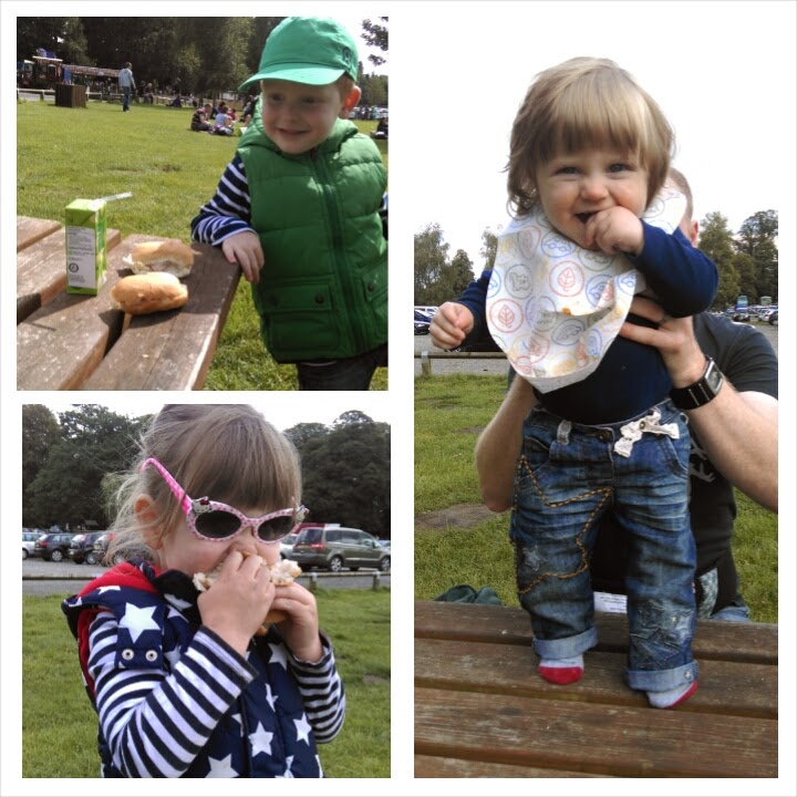 Tatton Park picnic