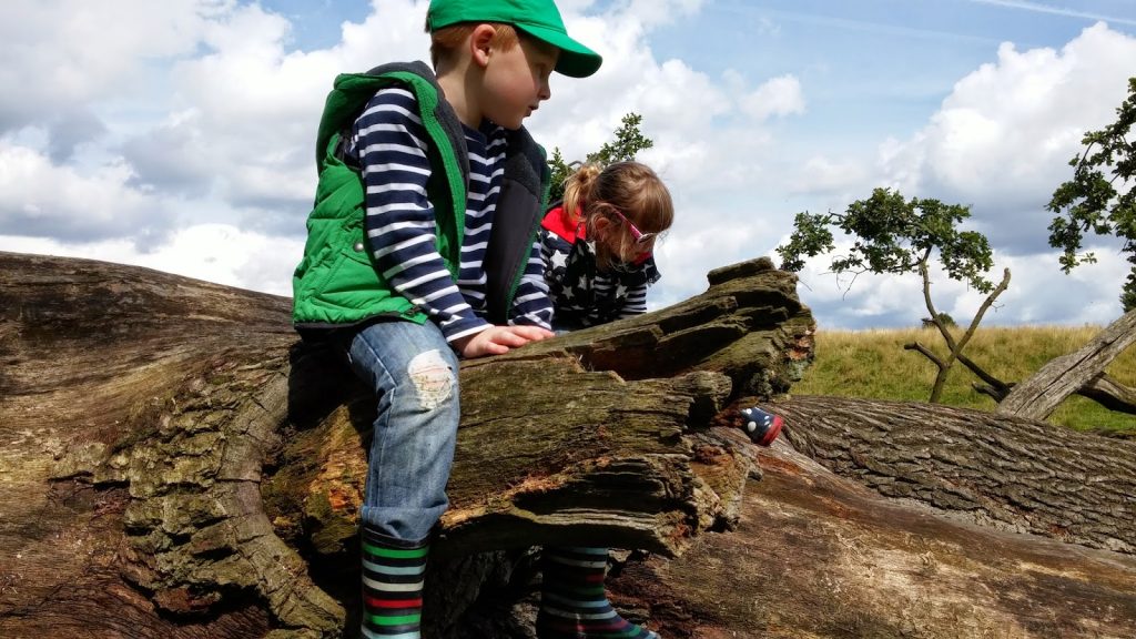 Nature Misses You - climbing fallen tree