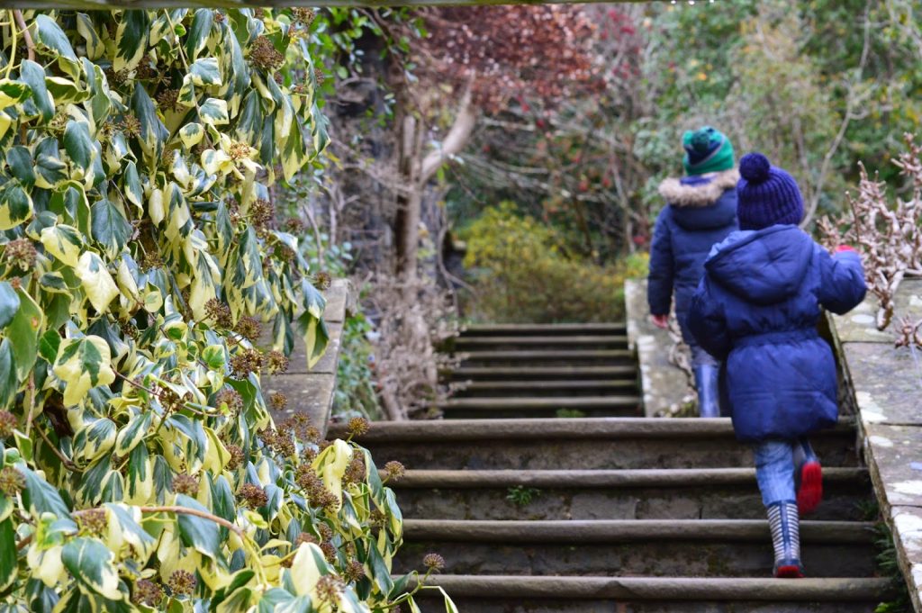 Climbing the steps at Bodnant Garden