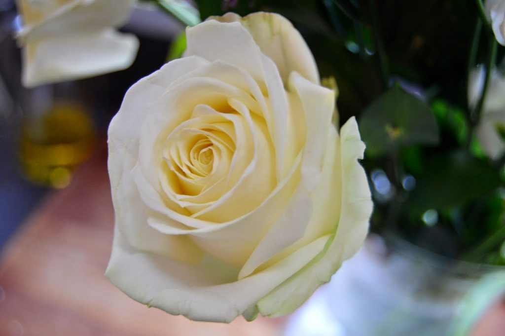 Debenhams flowers - rose