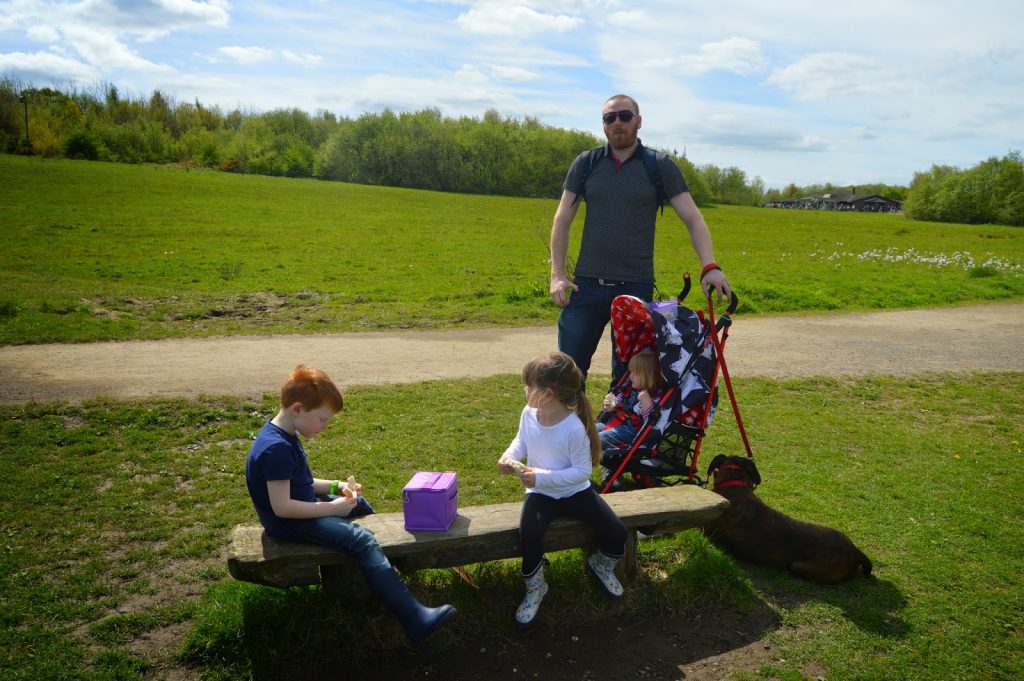 Room on the Broom Adventure Trail - benches around the trail to provide rest stops
