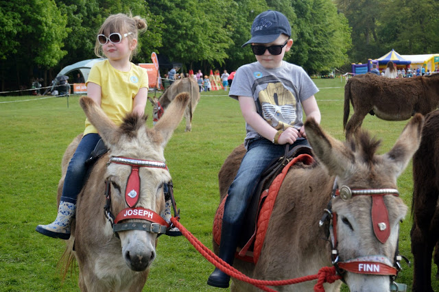 donkey rides at Geronimo Festival