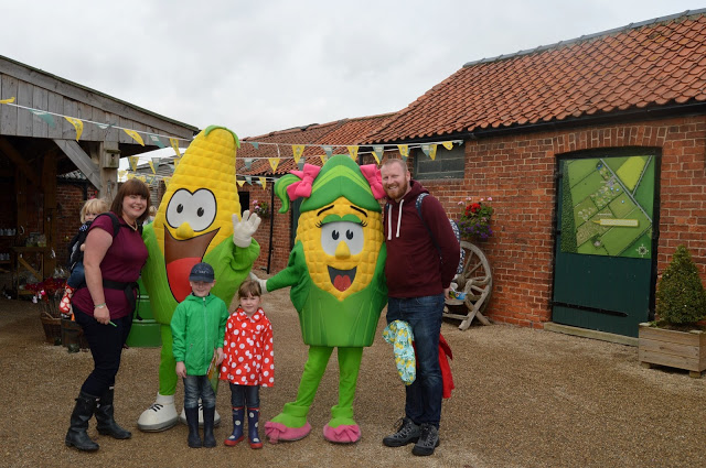 York Maze - kernels