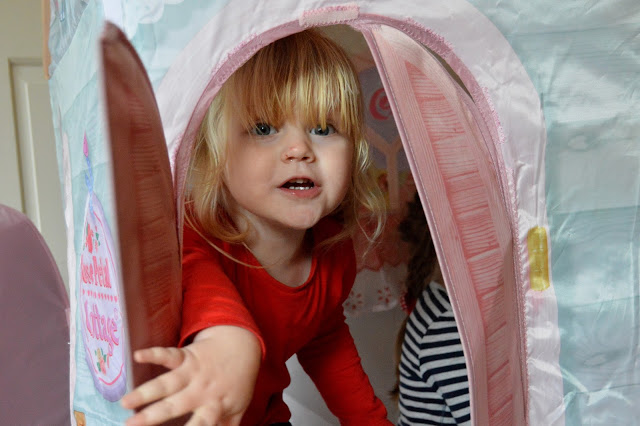 dream town rose petal cottage playhouse