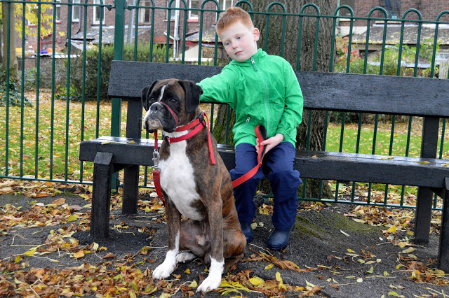 Dog walking in Muddy Puddles Puddlefleece Trousers