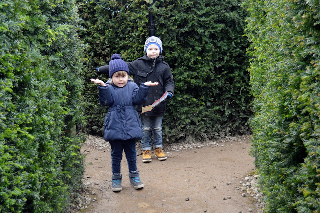 Getting lost in the maze at Stockeld Park