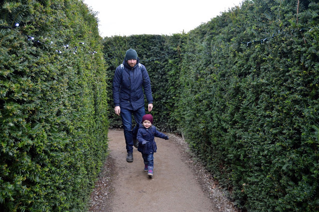 Stockeld Park Christmas maze