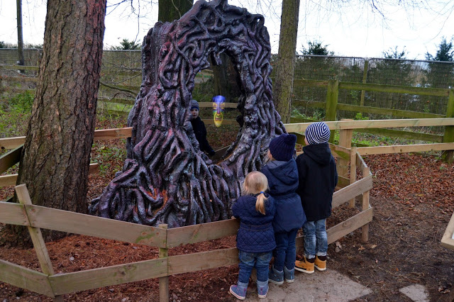 Enchanted Forest at Stockeld Park