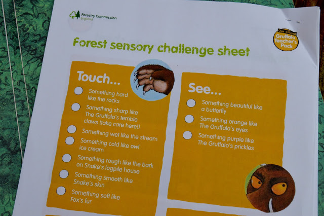 Gruffalo Teacher's Pack
