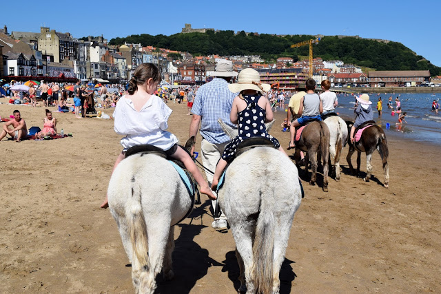donkey riding in Scarborough