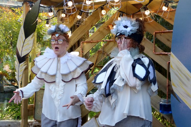 The Enchantment of Chester Zoo - Owls