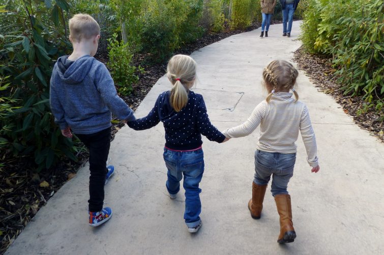 kids exploring The Enchantment of Chester Zoo
