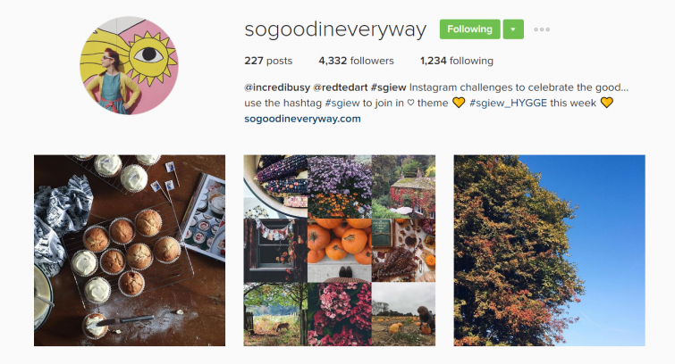 How to use hashtags on Instagram: #SGIEW instagram community