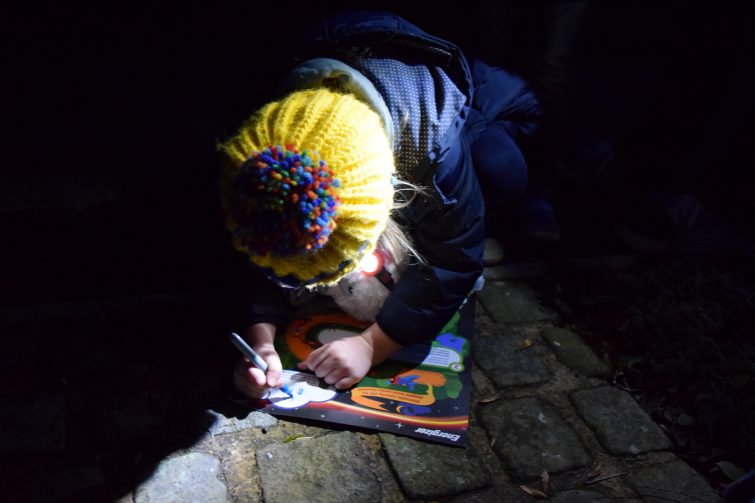 Energizer Secret Garden Adventure