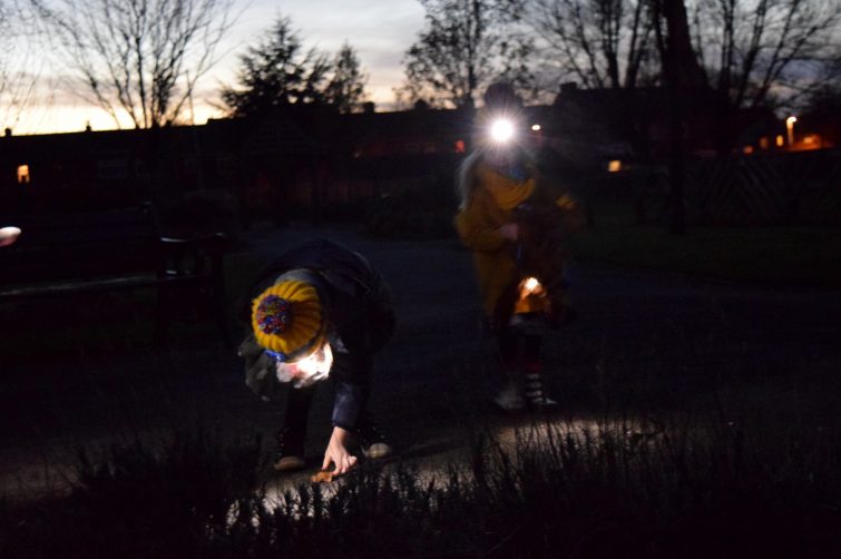 Searching for bugs - Energizer Secret Garden Adventure