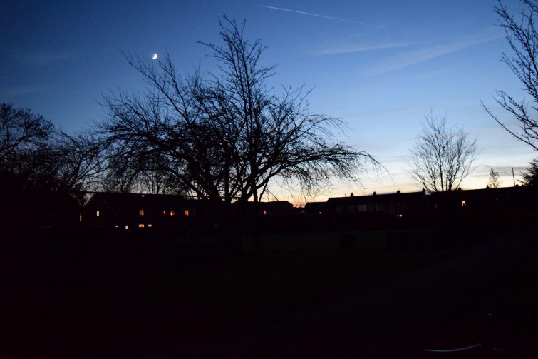 night time in the park - Energizer Secret Garden Adventure