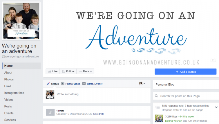 Blog Goals - Facebook Jan 17