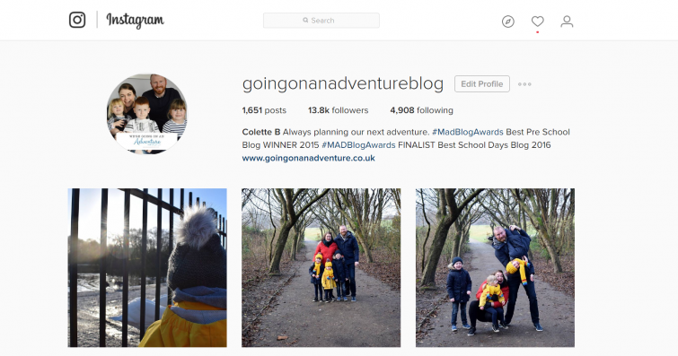 Blog Goals - Instagram Jan 17