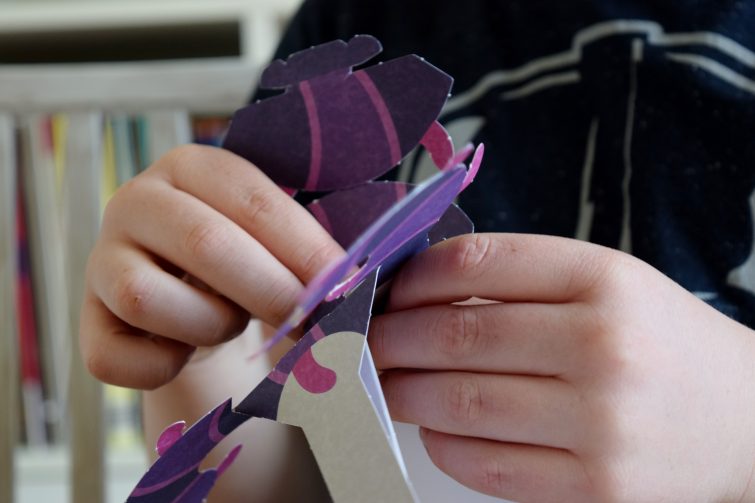 Make and Move Minibeasts - fold to make