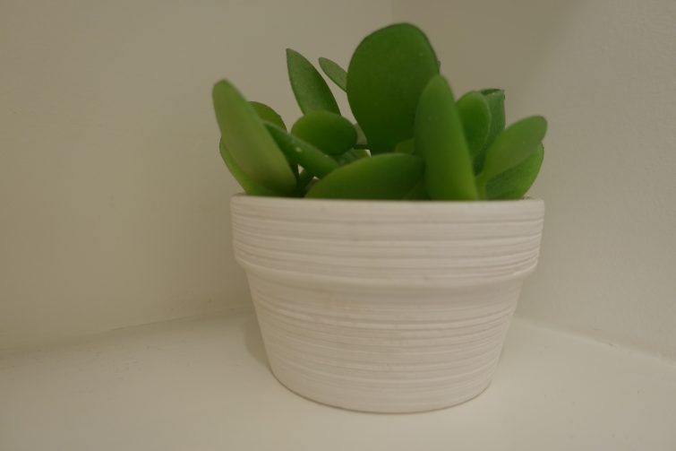 small faux succulent from John Lewis