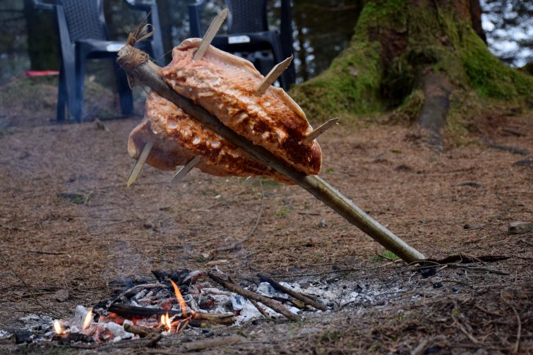 fresh, whole salmon being cooked over an open campfire