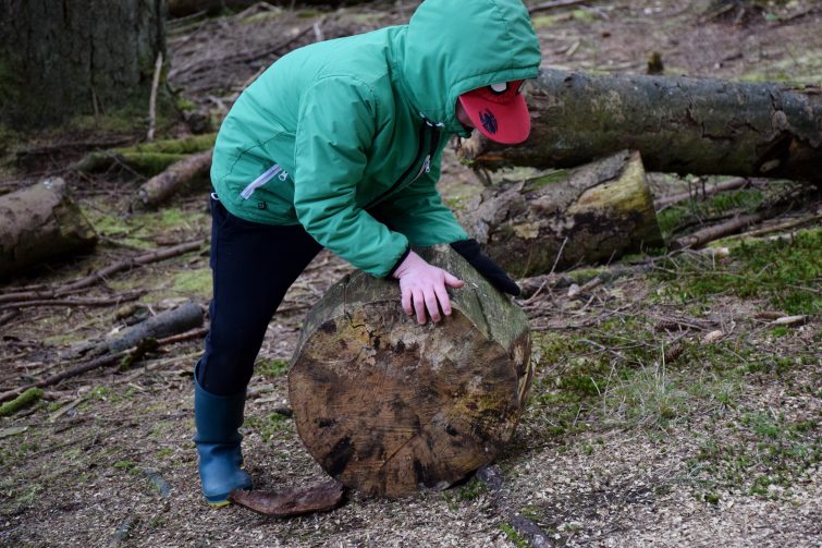 Moving logs around to make seats