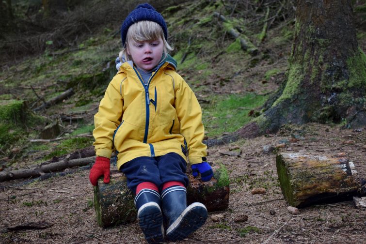 Log stools at Woodsmoke