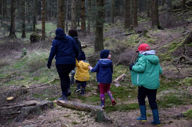 Exploring the woods with Beth Collier