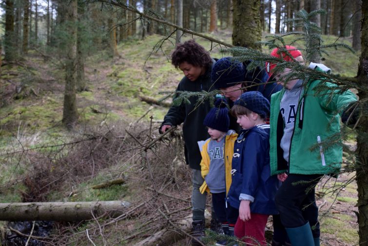 Finding a stream in the woods with Beth Collier
