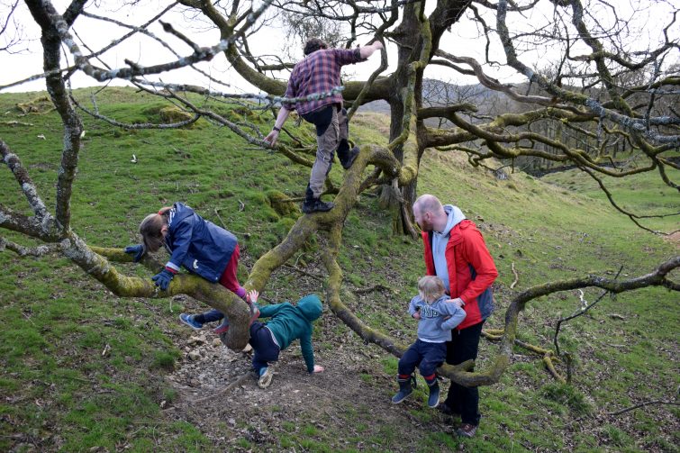 Tree climbing with Ben McNutt