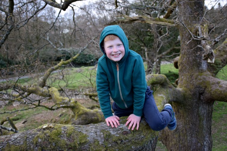 Tree climbing at Woodsmoke
