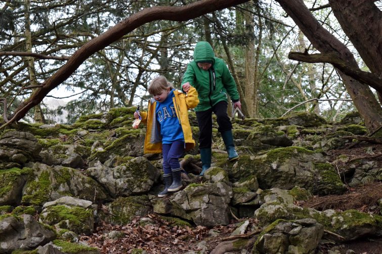 Scrambling in the woods together