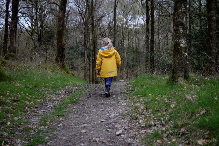 A woodland walk with Ben McNutt, Woodsmoke