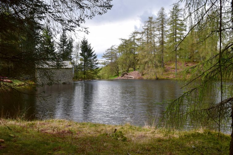 Woodsmoke base camp and tarn