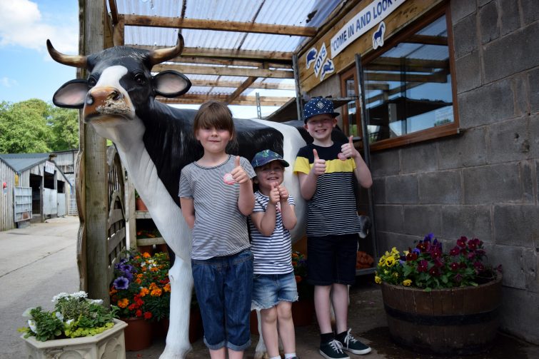 We're going on an adventure at Smithills Open Farm with Piri Allergy