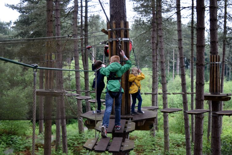 Adventure kids at Go Ape