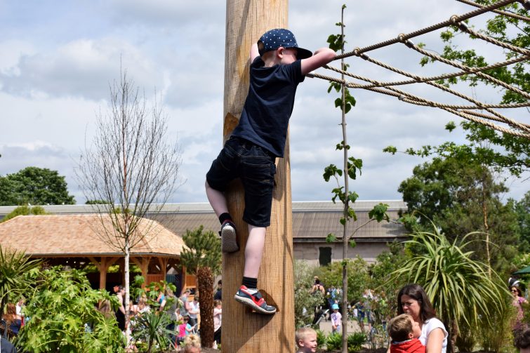 new Madagascar PLAY! space at Chester Zoo - Lost Forest