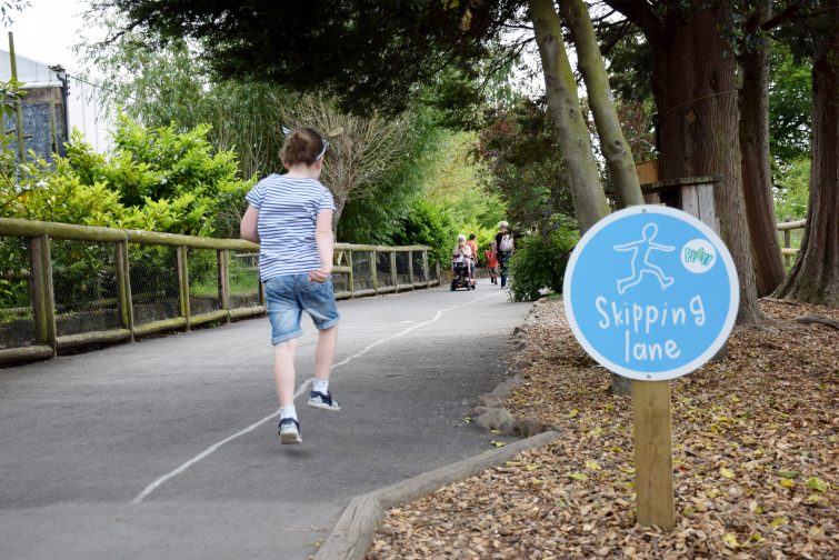 skipping lane at Chester Zoo