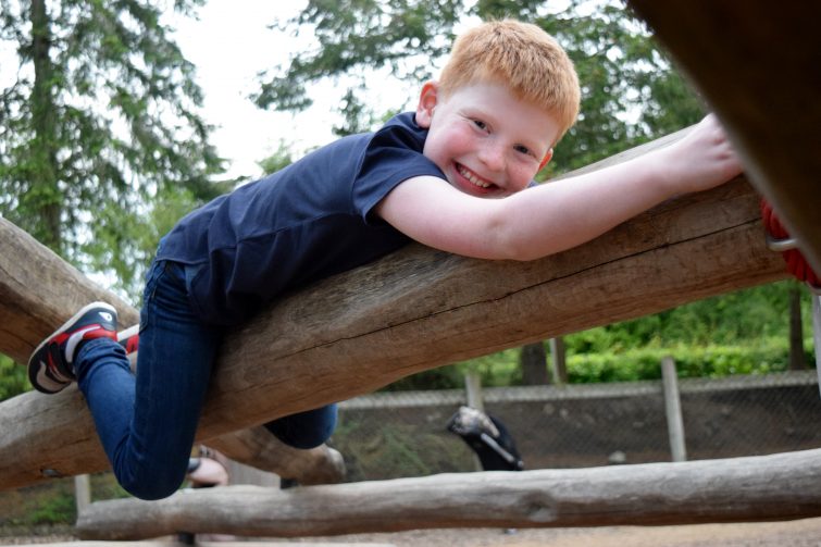 Adventure play area at Center Parcs, Whinfell Forest