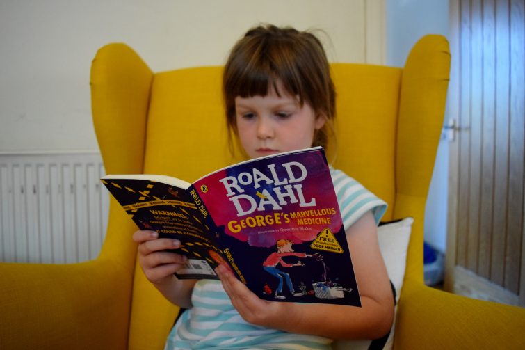 Roald Dahl - Puffin Summer Reading Campaign #startastory