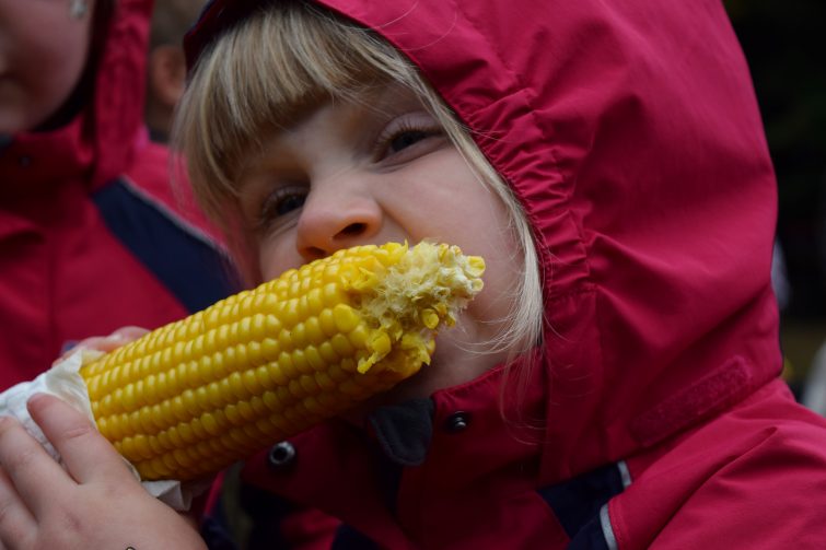 Eating enormous ears of sweetcorn at Just So Festival