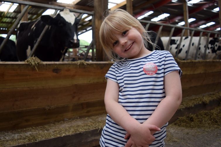 Amy with cows at Smithills