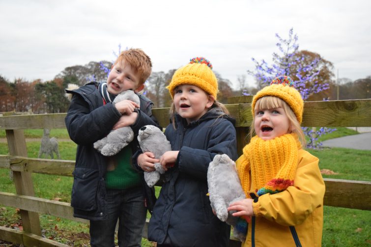 Cuddly toys from Father Christmas at Stockeld Park