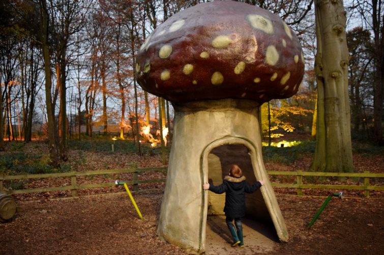 illuminated enchanted forest Christmas Adventure at Stockeld Park